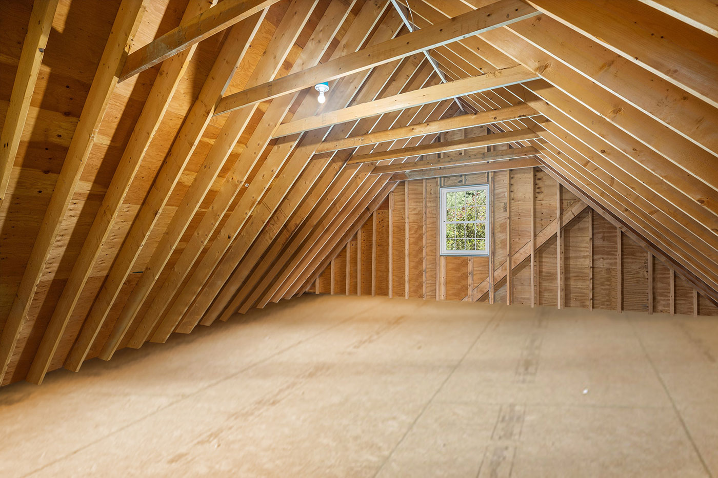 1655338730373723596_1655365205896_1655338730373723596_77_nry5573_copy